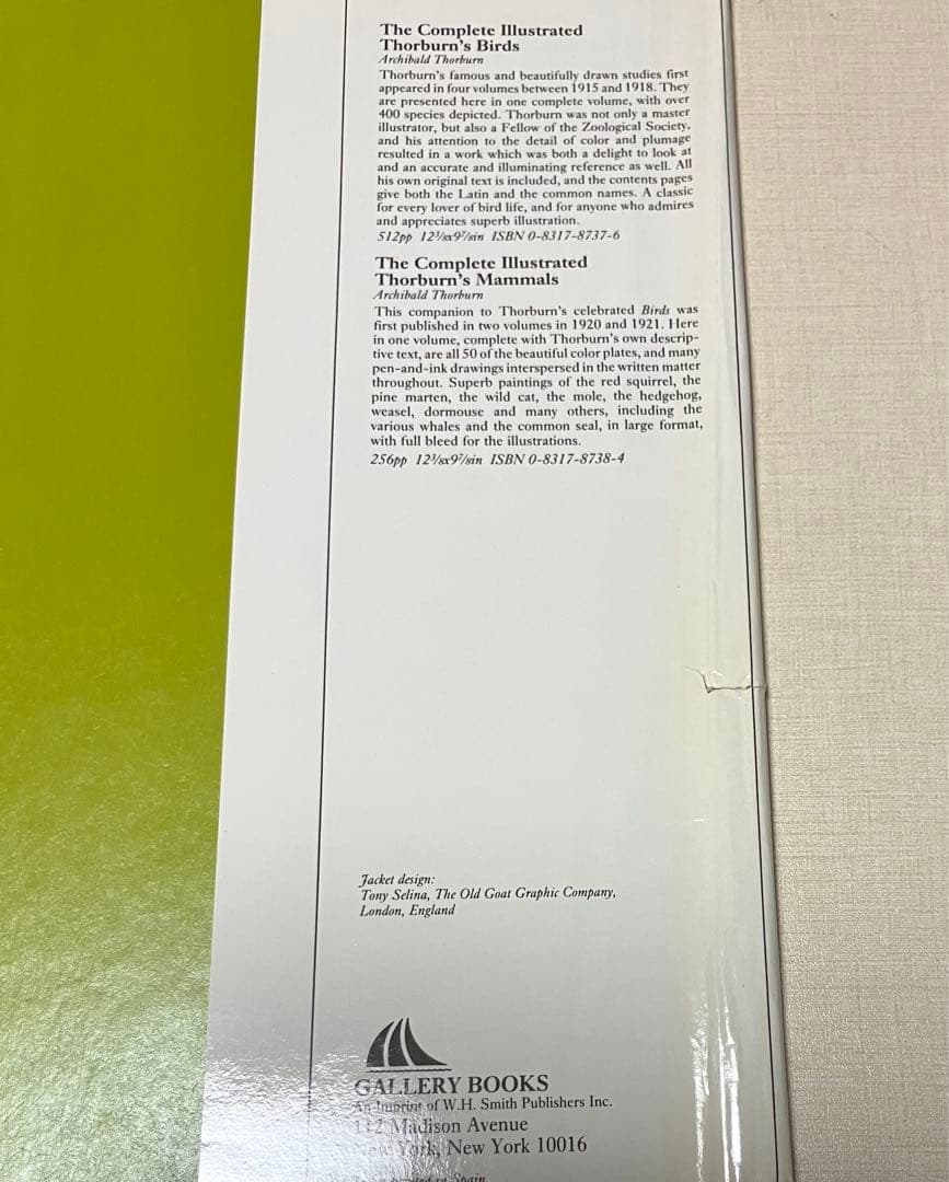 洋書　WORLD FLOWERS 植物画