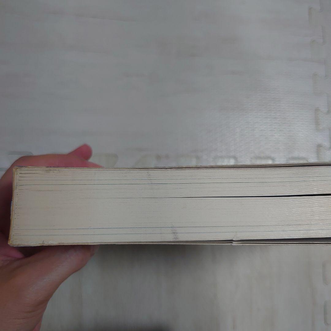 フランク・ロイド・ライト全集　第7巻