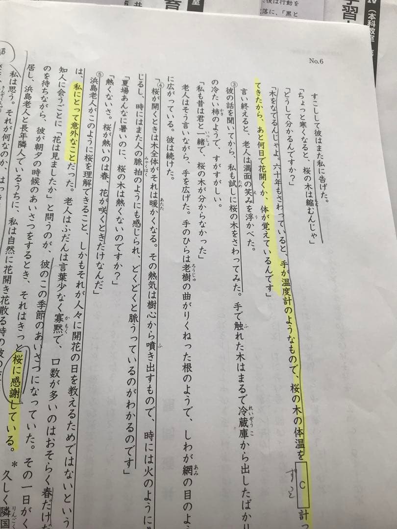 日能研6年2024学習力育成テスト17回、合格力育成7回、実践5回、講習5回