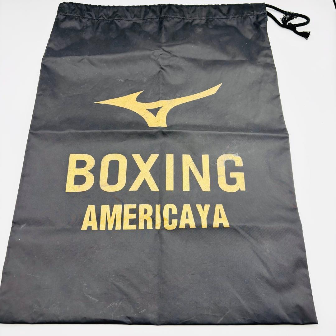 CLETO REYES レイジェス ボクシング グローブ　8オンス