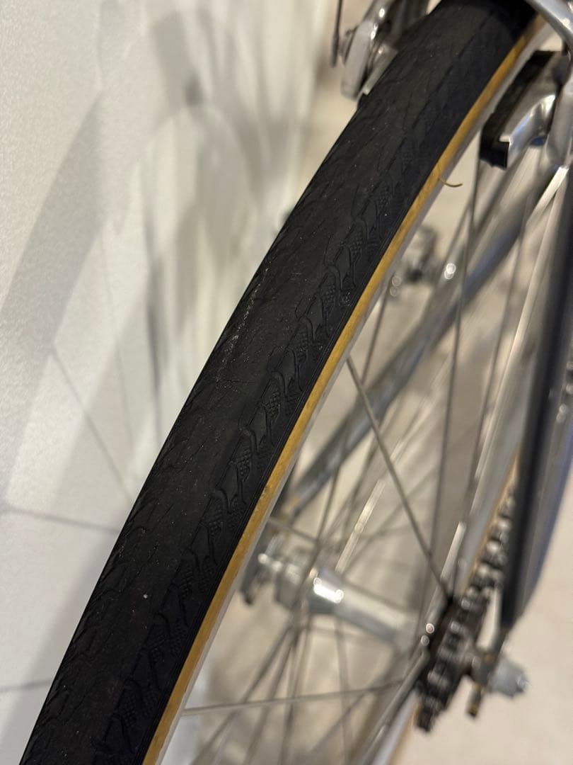 bluelug fairweather track Lサイズ　シティサイクル