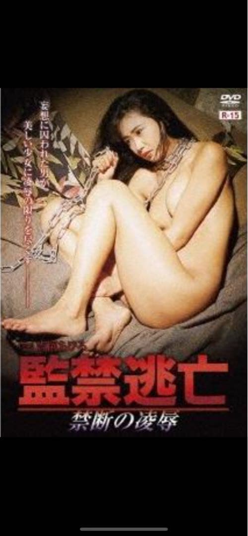 【新品未使用】逃亡 葉山レイコ　真弓倫子　他　セル版DVD 特別6枚セット