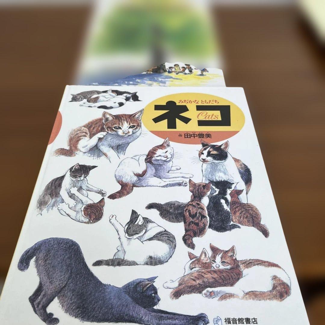 人気絵本　25冊　福音館書店