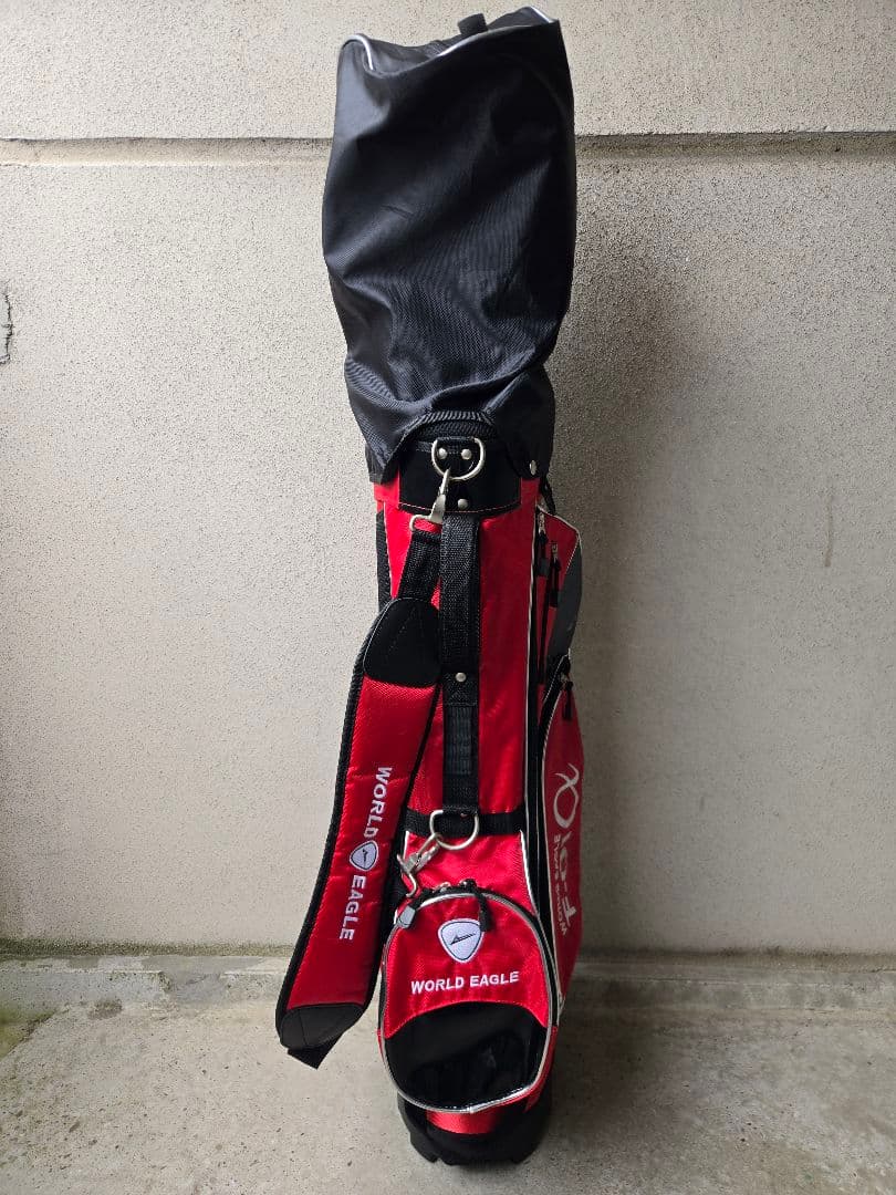 ワールドイーグル　メンズゴルフ10本セット　FLEX-R