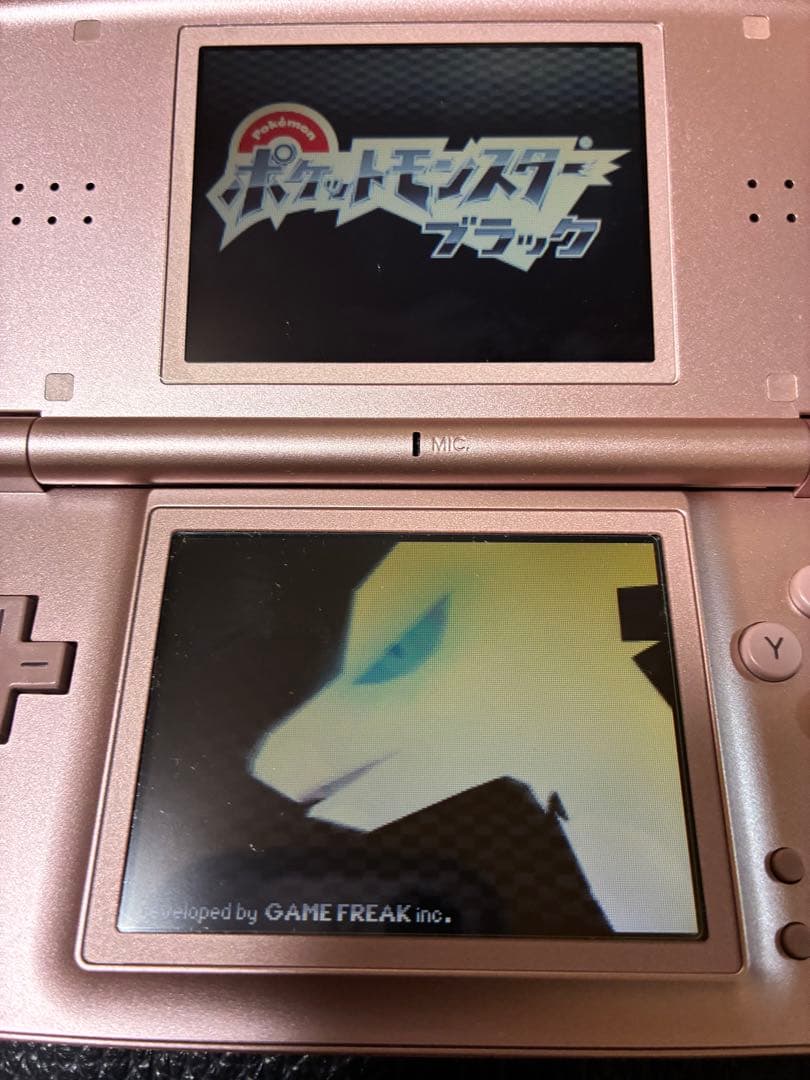 ノ*拳様 任天堂DS ポケットモンスター ホワイト2／プラチナ／ダイヤモンド／ブ