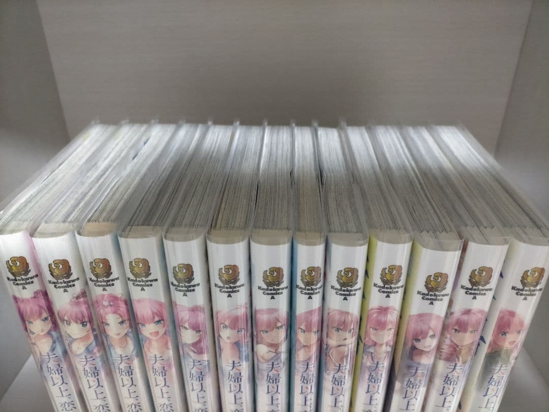 【超美品】夫婦以上、恋人未満。 全巻完結