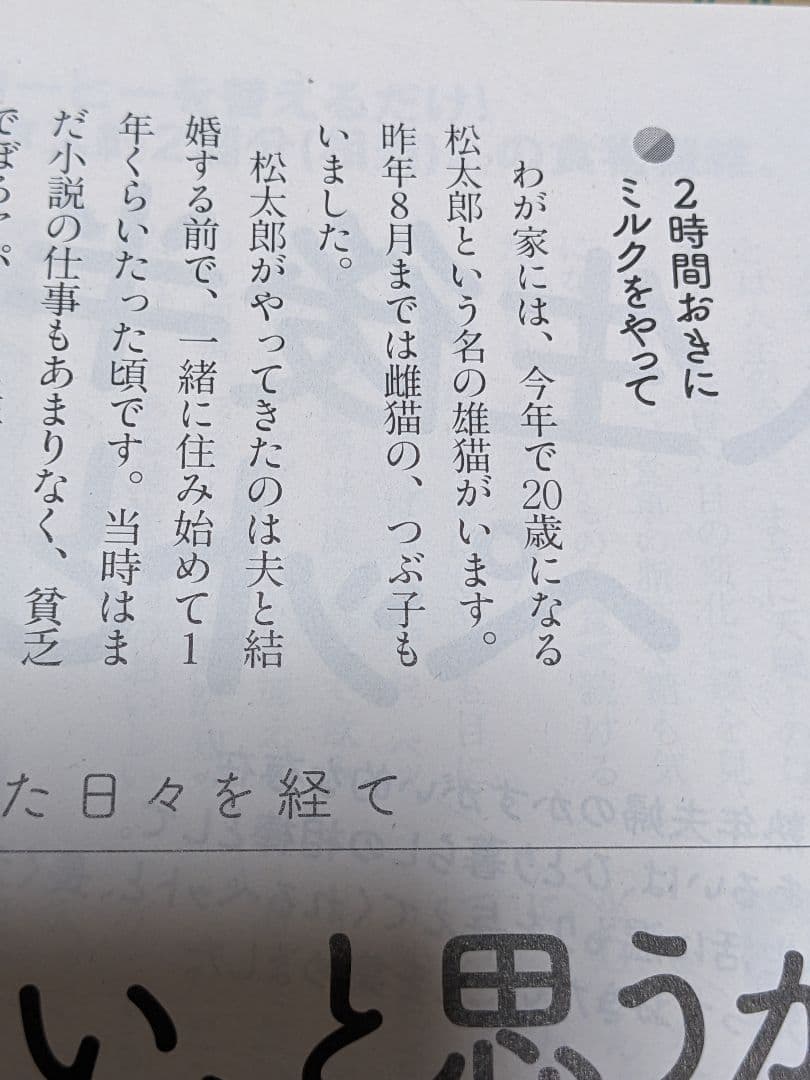 ★バラ売りOK★　雑誌いろいろ