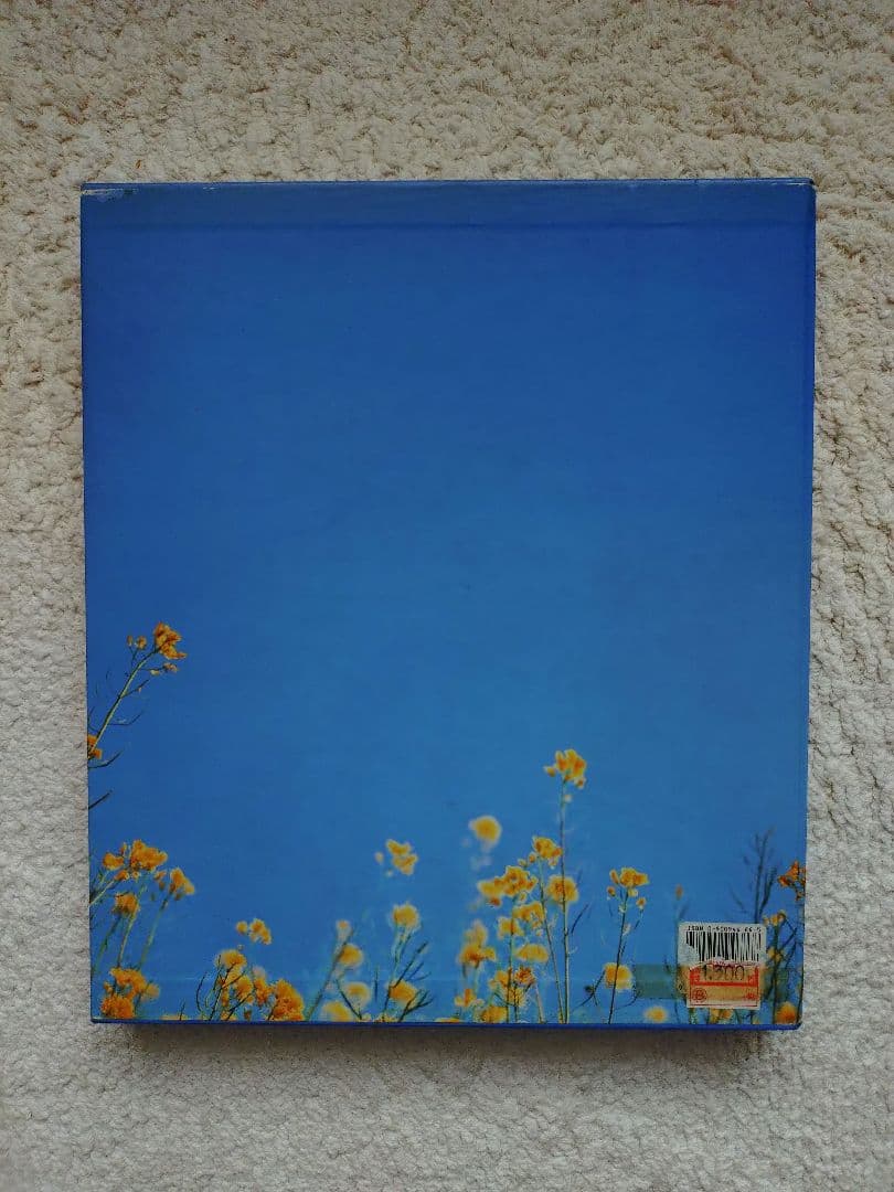 アート・デザイン・音楽 Apocalypse Beauty Horror ContemporaryArt