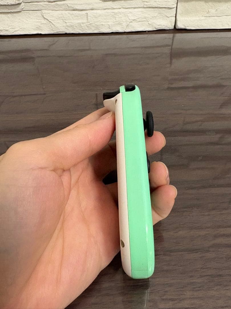 あつまれ　どうぶつの森デザイン　Nintendo Switch 本体