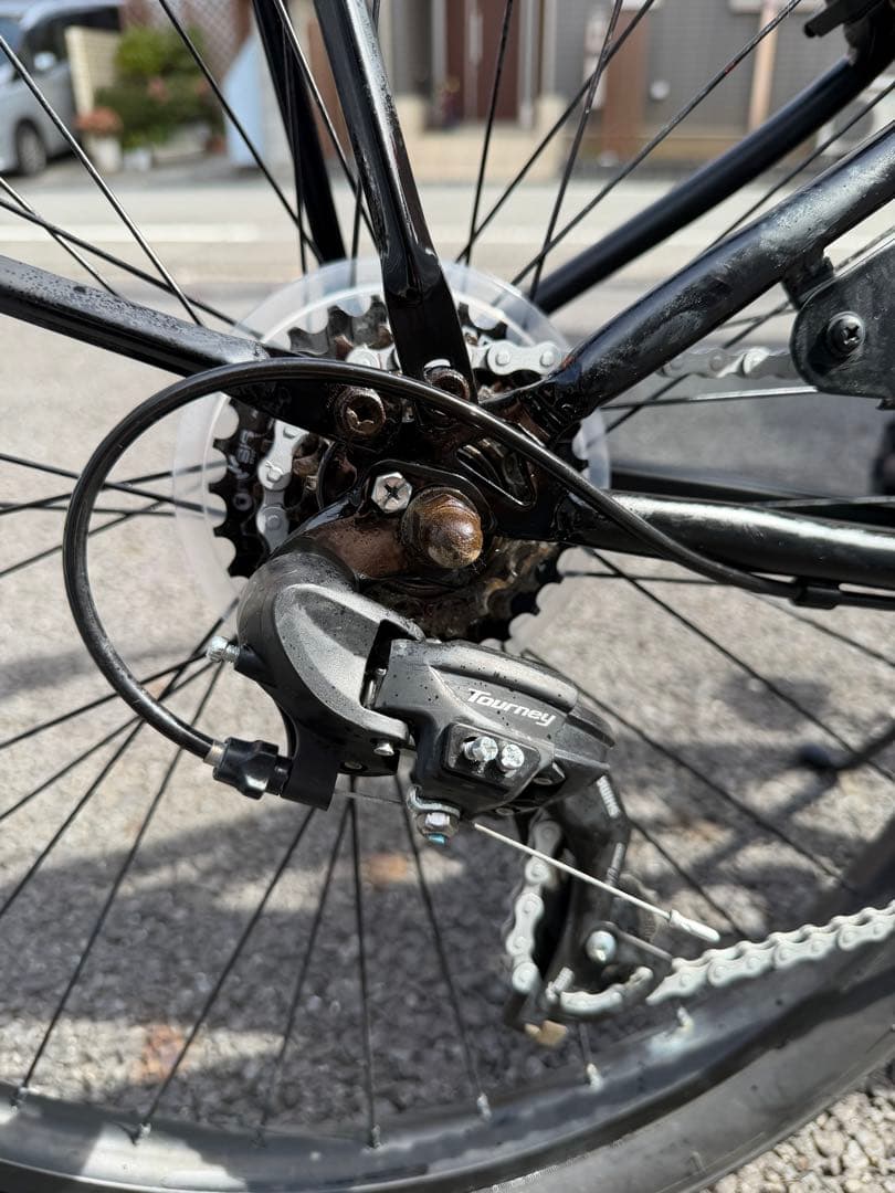 RAINBOW BEACHCRUISER/レインボービーチクルーザー 7段変速