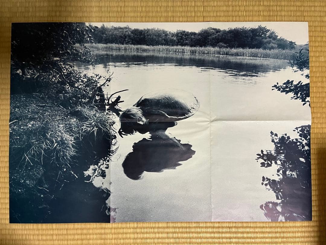 【希少盤】Julian Copeジュリアン・コープ*12インチレコード3枚セット