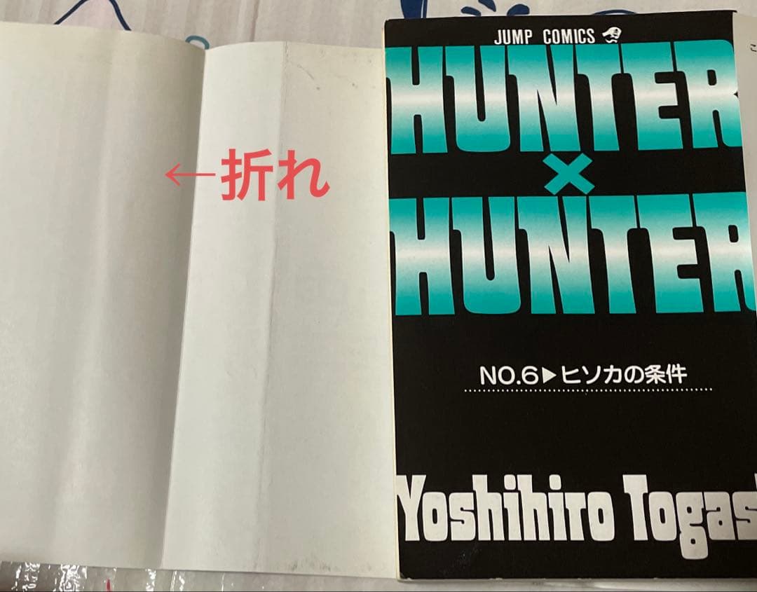 HUNTER×HUNTER 1