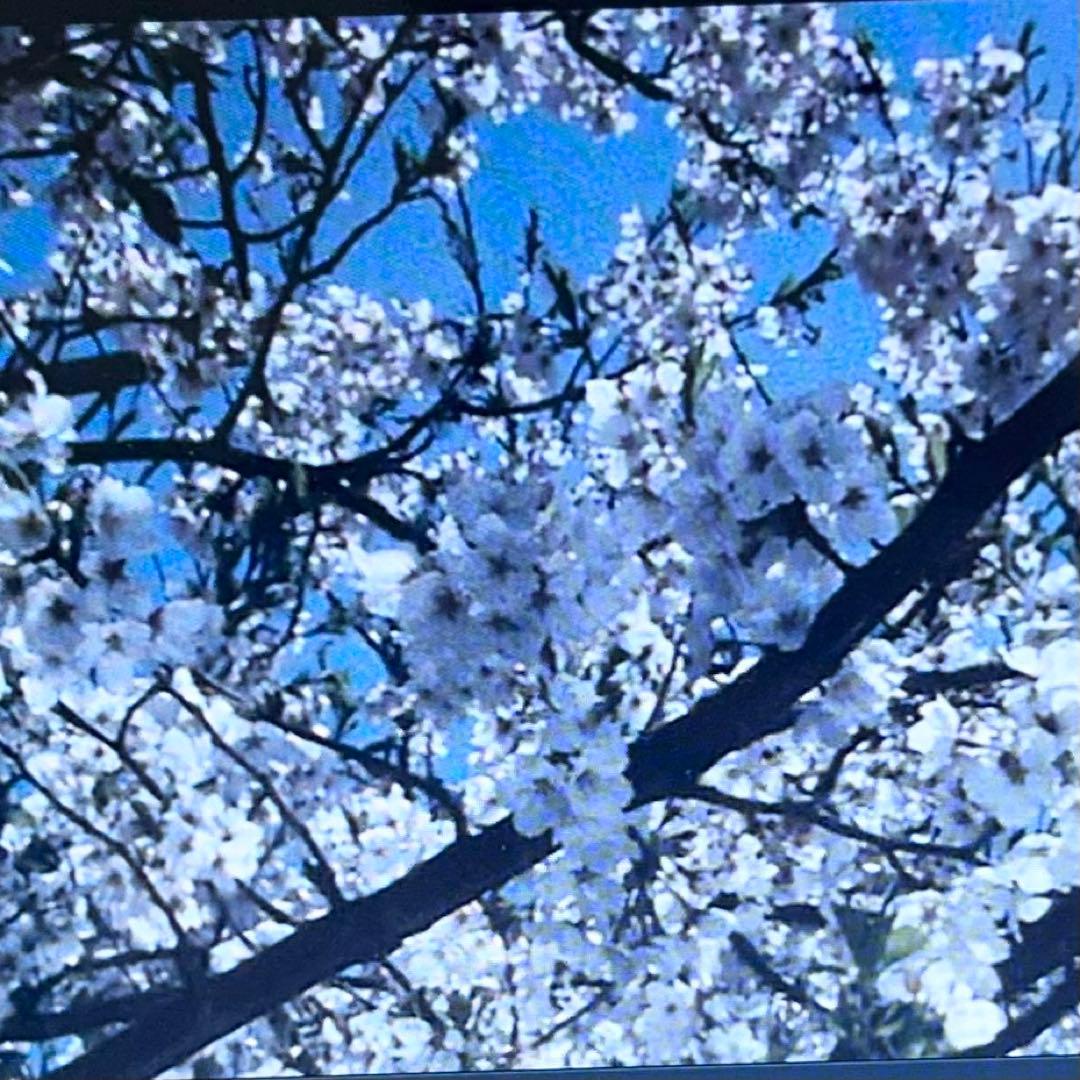 スクール☆ウォーズ 泣き虫先生の7年戦争　全9巻