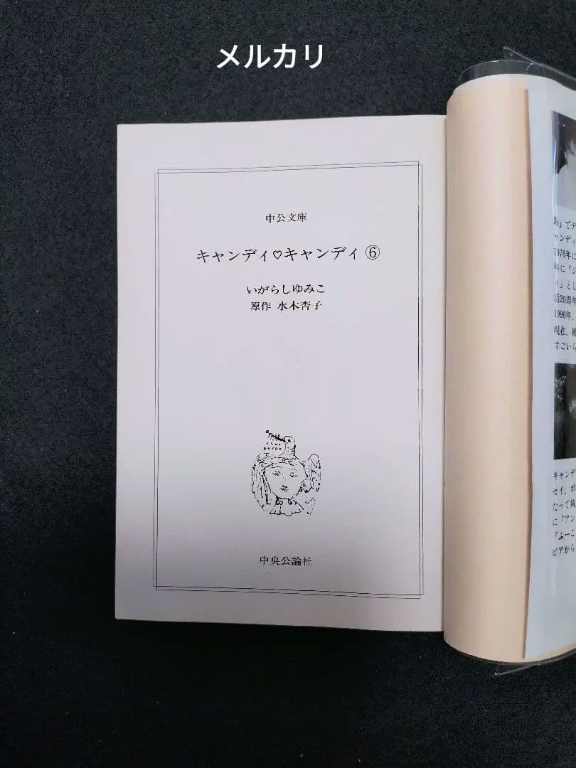 ■クリアブックカバー付き「キャンディ・キャンディ」文庫版●全巻セット