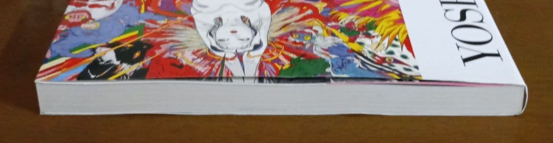 天野喜孝展 想像を超えた世界 図録 画集