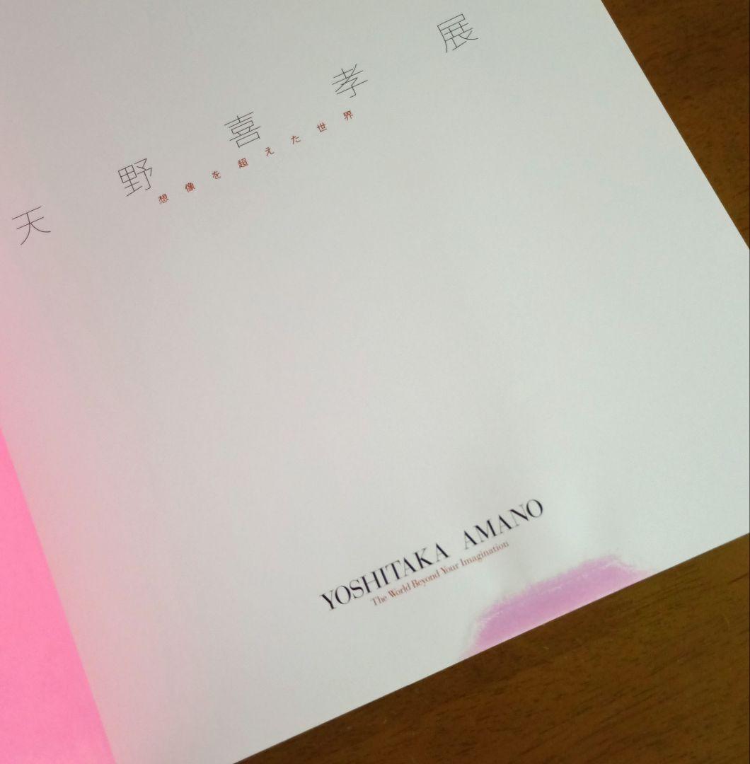 天野喜孝展 想像を超えた世界 図録 画集