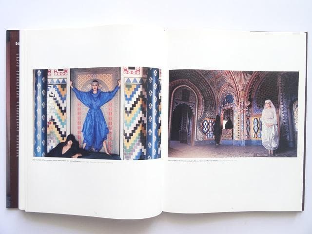 洋書◆デヴィッド・ベイリー 1970年代のアート写真作品集 本 風景 景色