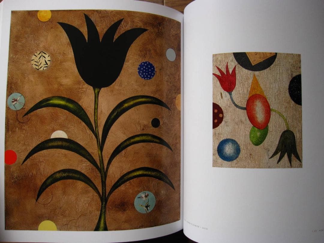 画集　Dan Rizzie　ダン リジ―