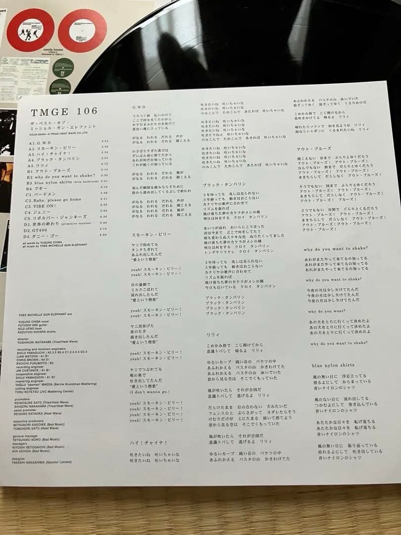 ミッシェルガンエレファント　106 TMGE アナログ　レコード
