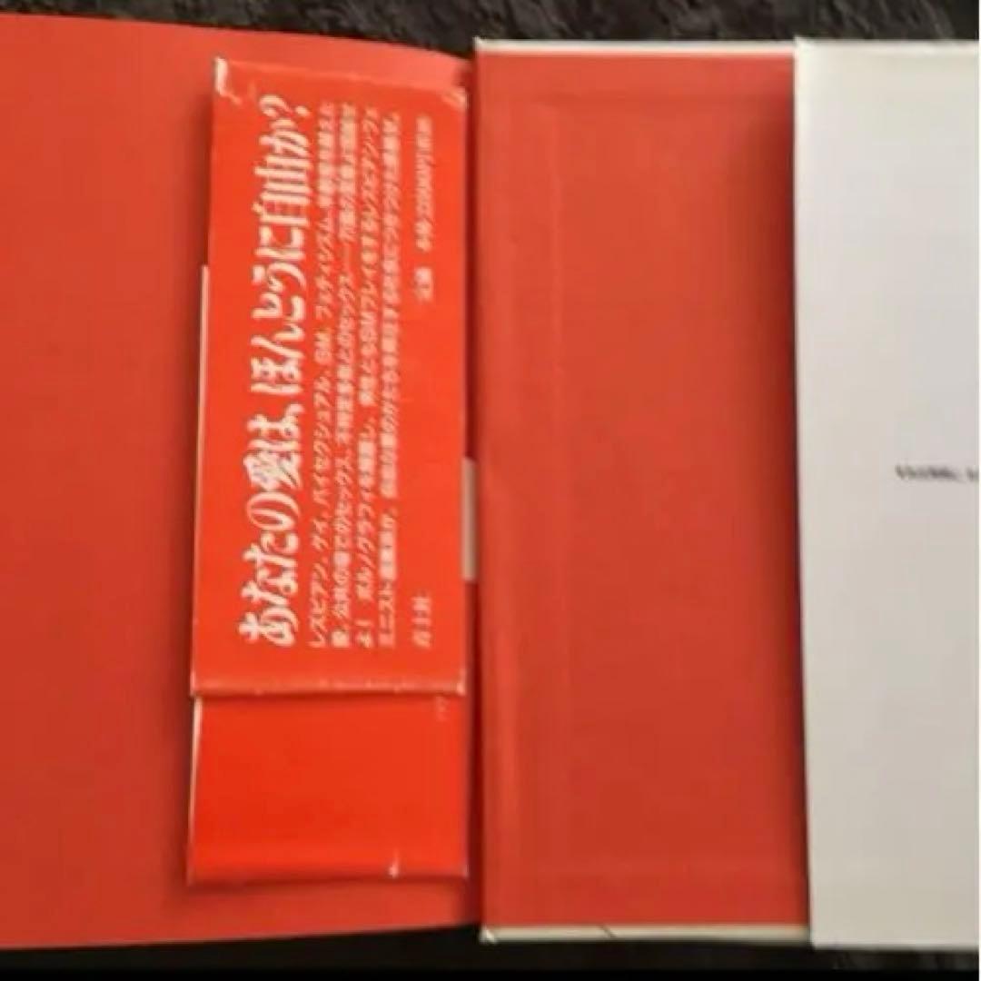 パブリック・セックス : 挑発するラディカルな性