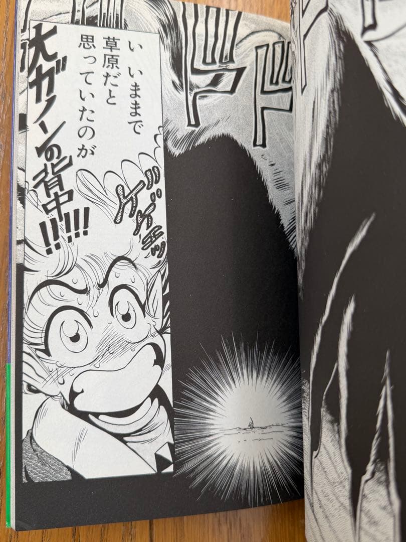 ゼルダの伝説・リンクの冒険 漫画セット