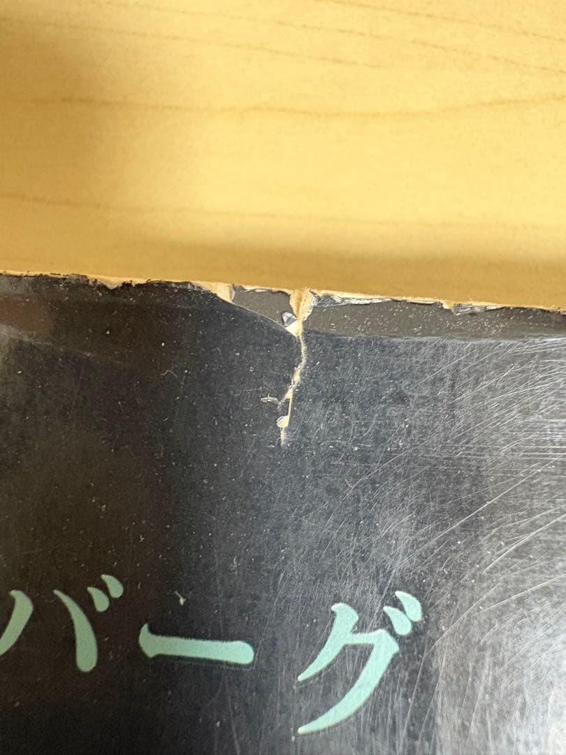 スタインバーグ　新しい世界　みすず書房