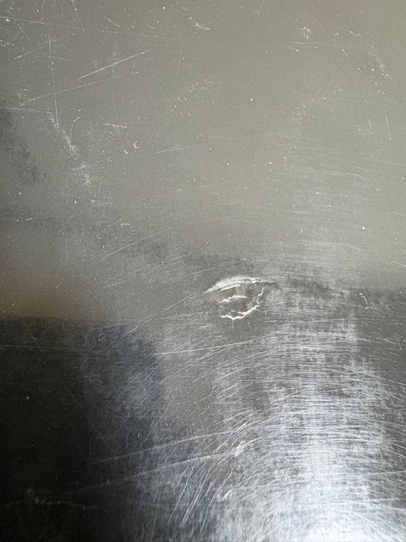 スタインバーグ　新しい世界　みすず書房