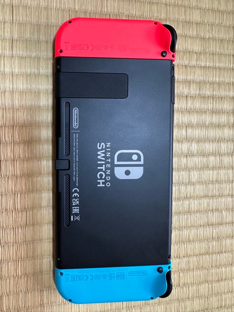 Nintendo Switch 本体　ケースとコントローラー付き