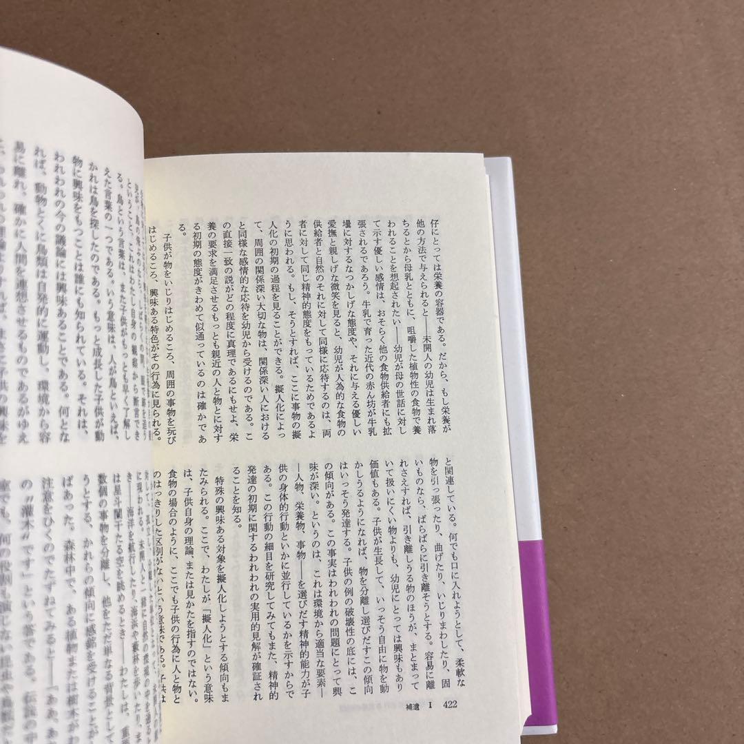 【新品】意味の意味〔新装〕　著者:チャールズ・オグデン　日訳:石橋幸太郎　絶版本