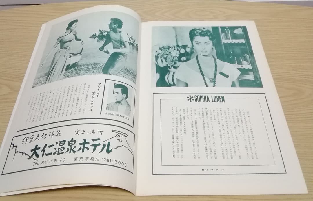 (レア)映画パンフレット　「殿方ごろし」　ソフィア・ローレン