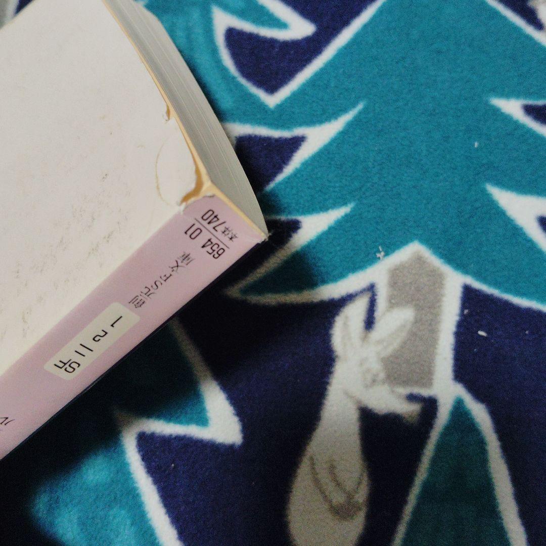 神の目の小さな塵 上