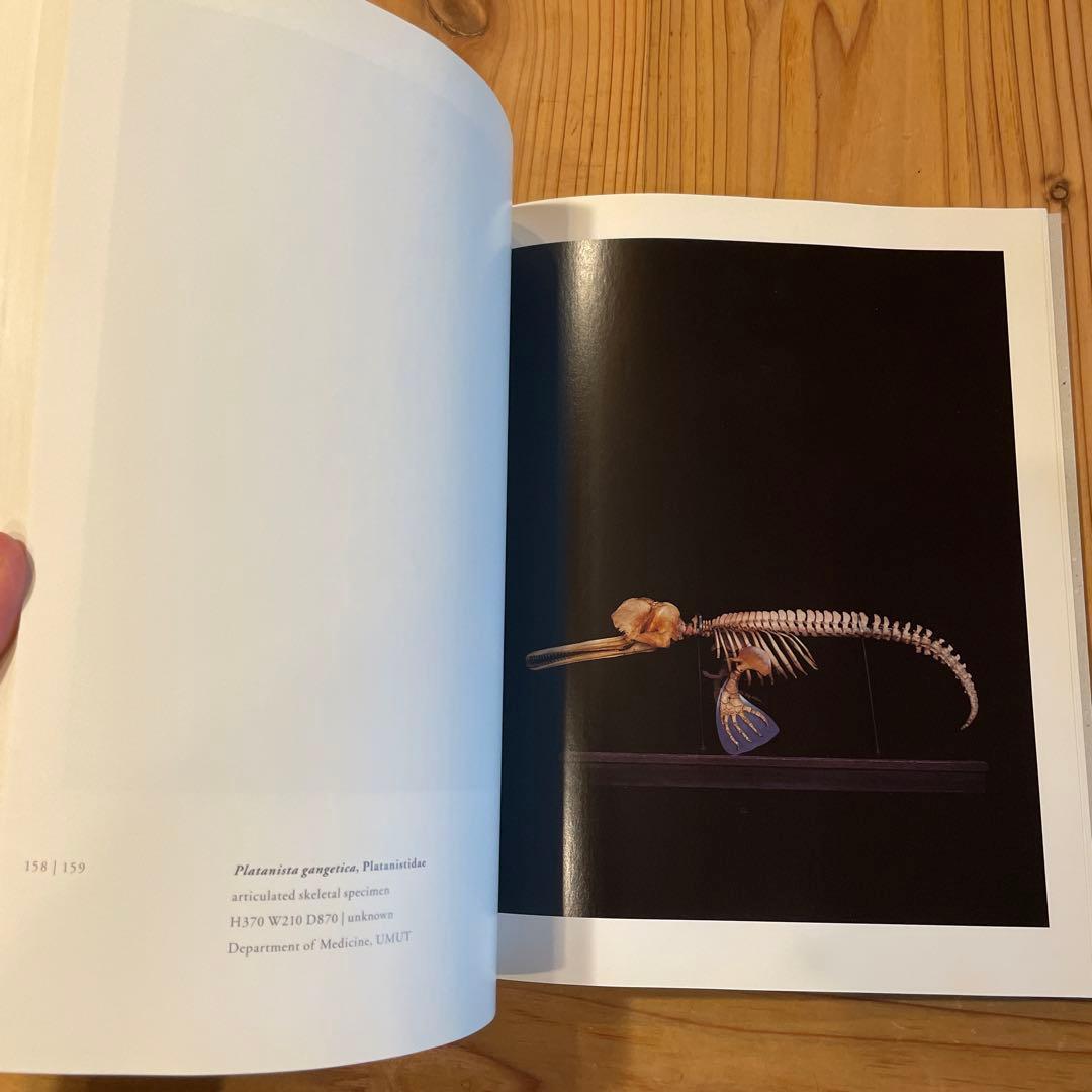 上田義彦「Chamber of Curiosities 」美品