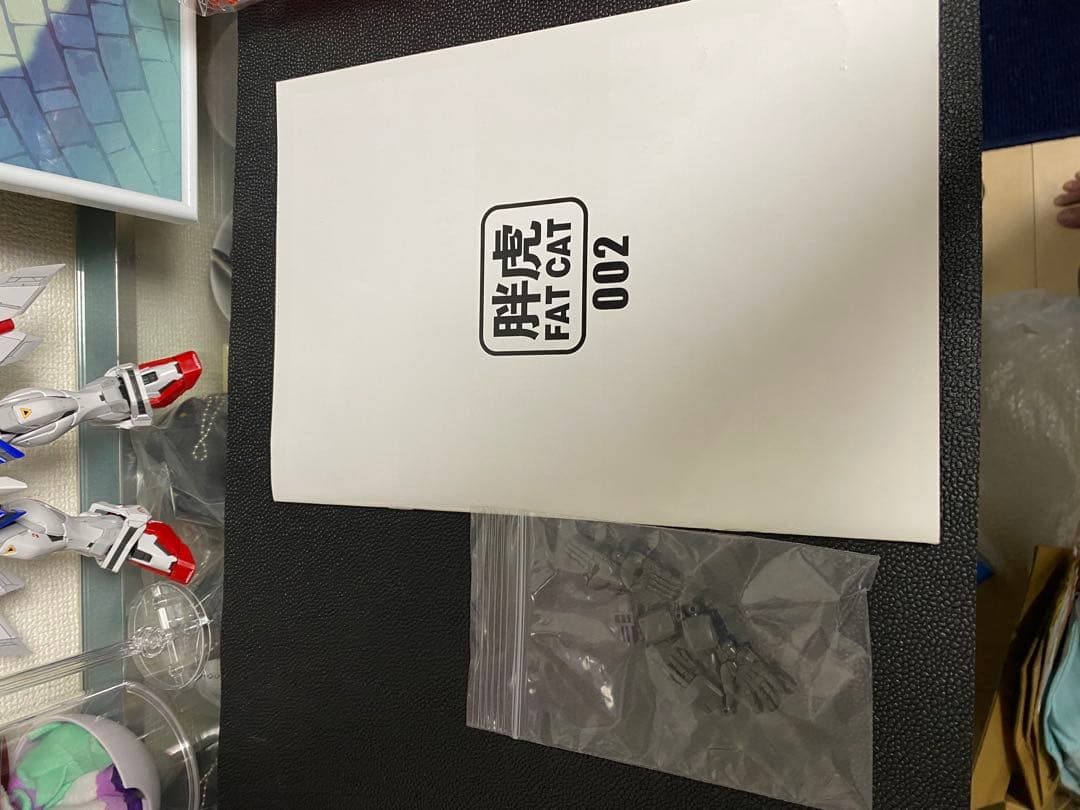 FAT CAT 太虎 1/100 RG拡大版 ゴッド