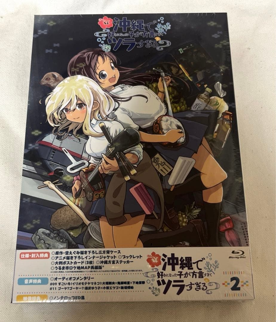 沖縄で好きになった子が方言すぎてツラすぎる 2