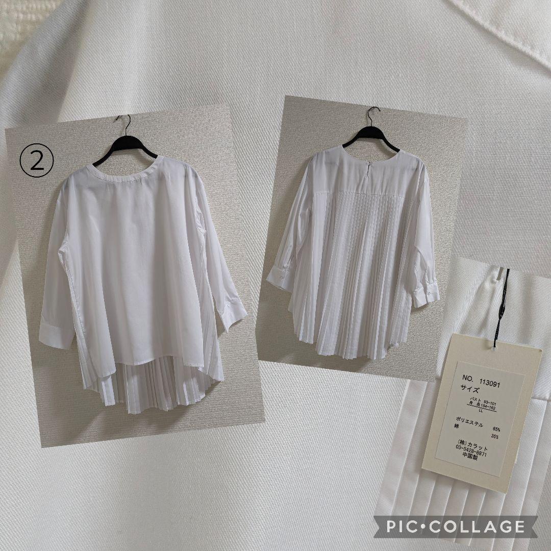 ゼラニウム　SALE LLサイズ中心　まとめ売り