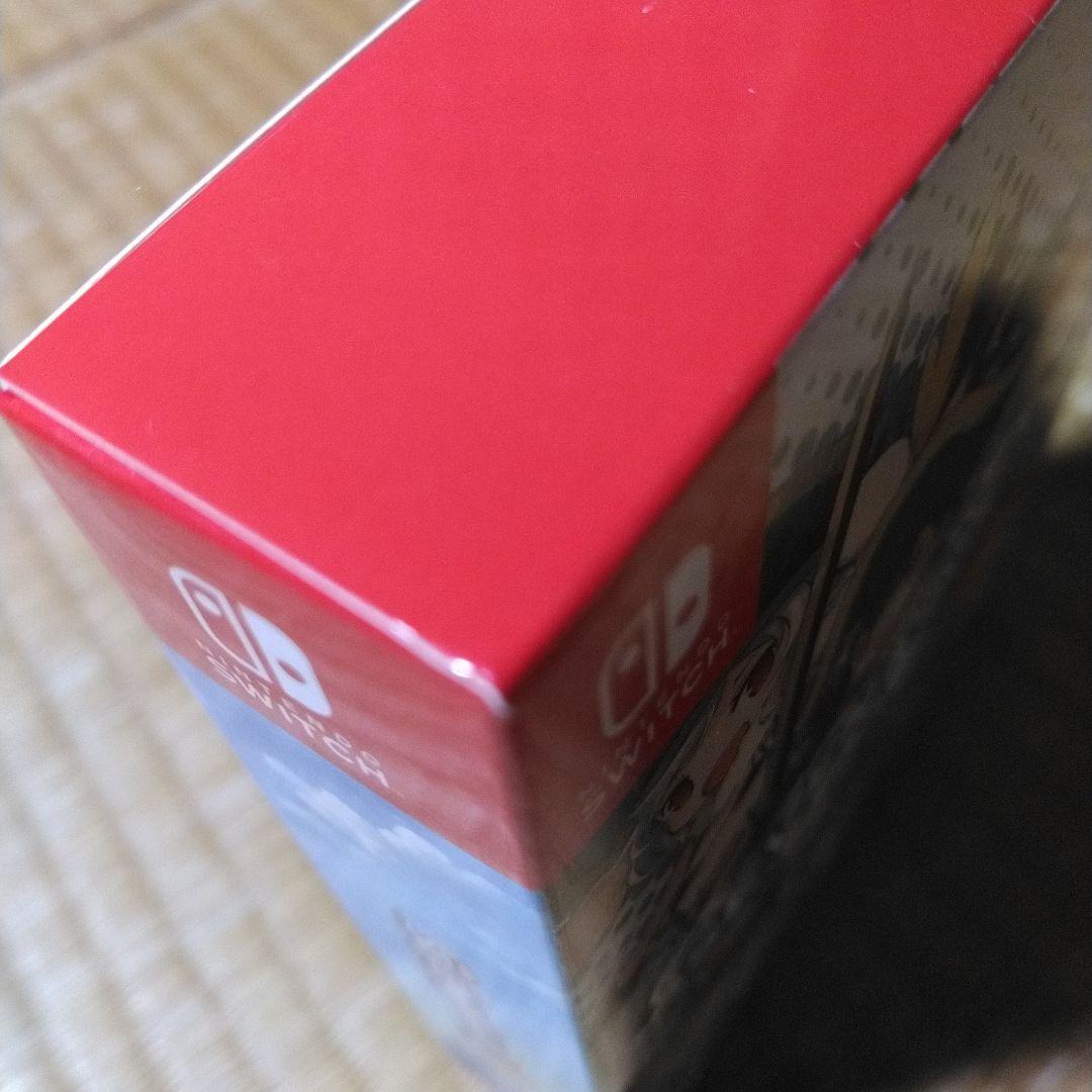 switch版 SEVEN PIRATES H 限定版 海外版 新品同様品