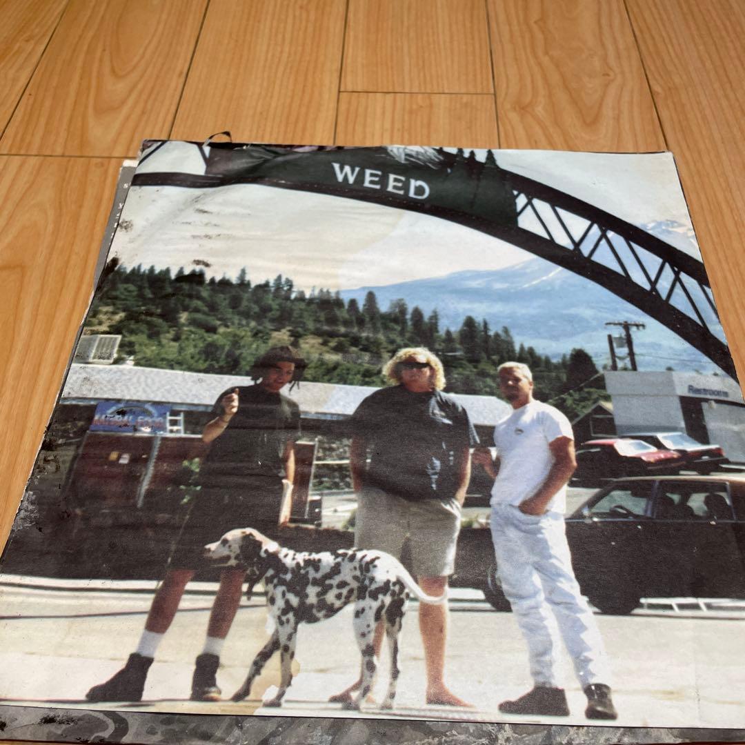 最終価格　Sublime s of Babylon レコード