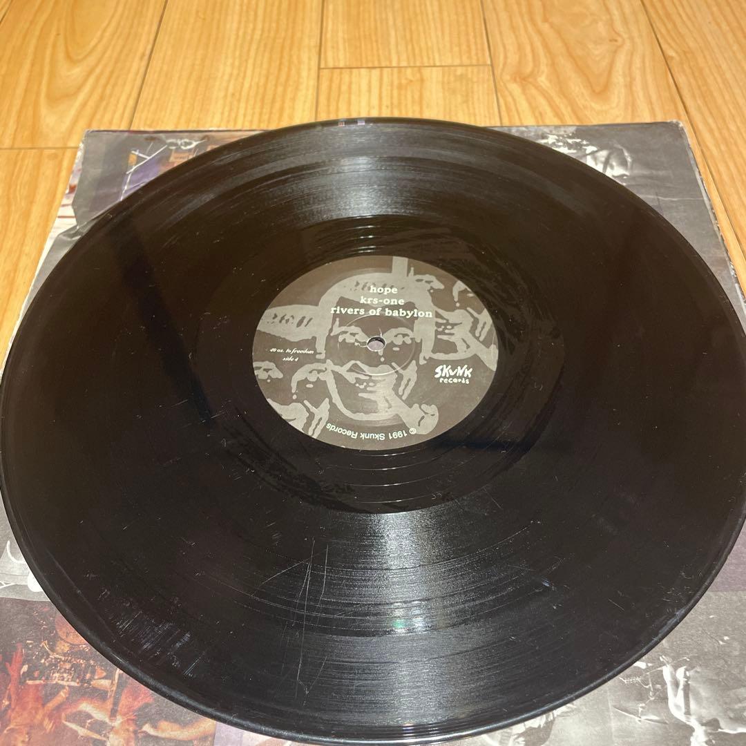 最終価格　Sublime s of Babylon レコード