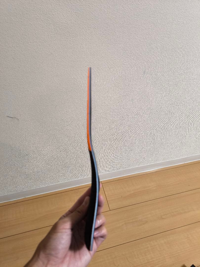 BMZ アシトレマジックカーボンスポーツ 25.0-26.0cm