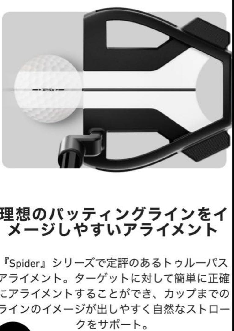 新品 テーラーメイド スパイダー ツアーX パター マキロイモデル 33インチ
