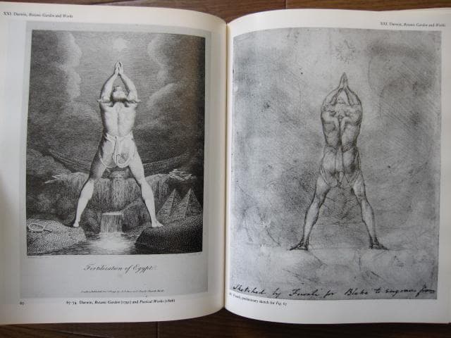 アート・デザイン・音楽 William Blake's Commercial Book Illustra