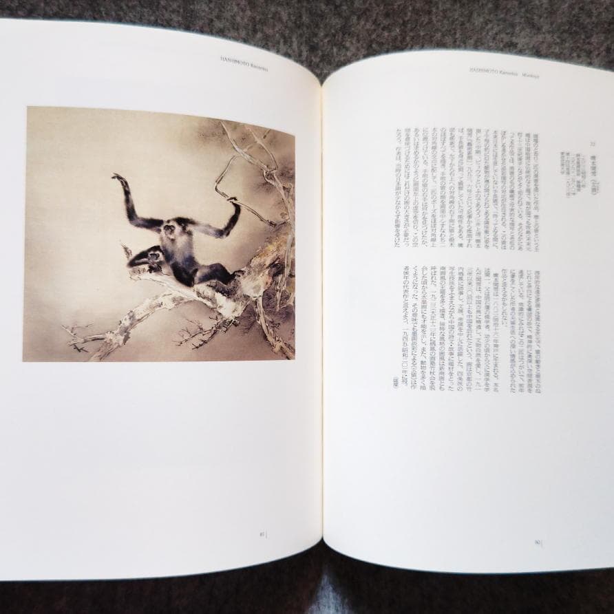 ◆古本◆日本画の100年◆下村観山川合玉堂大観上村松園鏑木清方伊東深水平山邦夫
