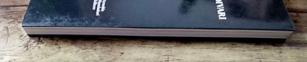 週末SALE レア ストラディヴァリウス 作品集 洋書 イタリア語 英語