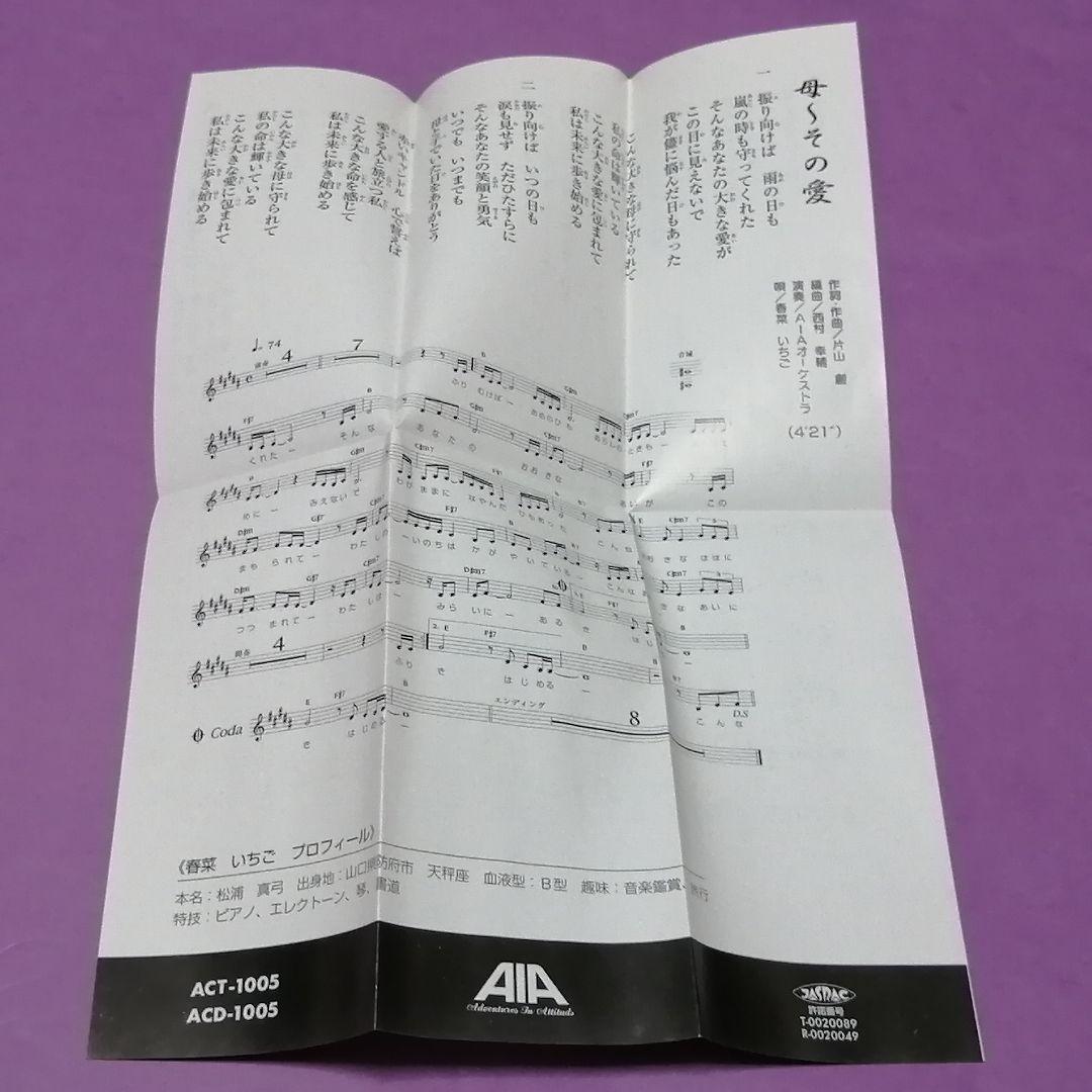 （８ｃｍ）春菜いちご／風のように　春のように／自主制作／スワンプポップス