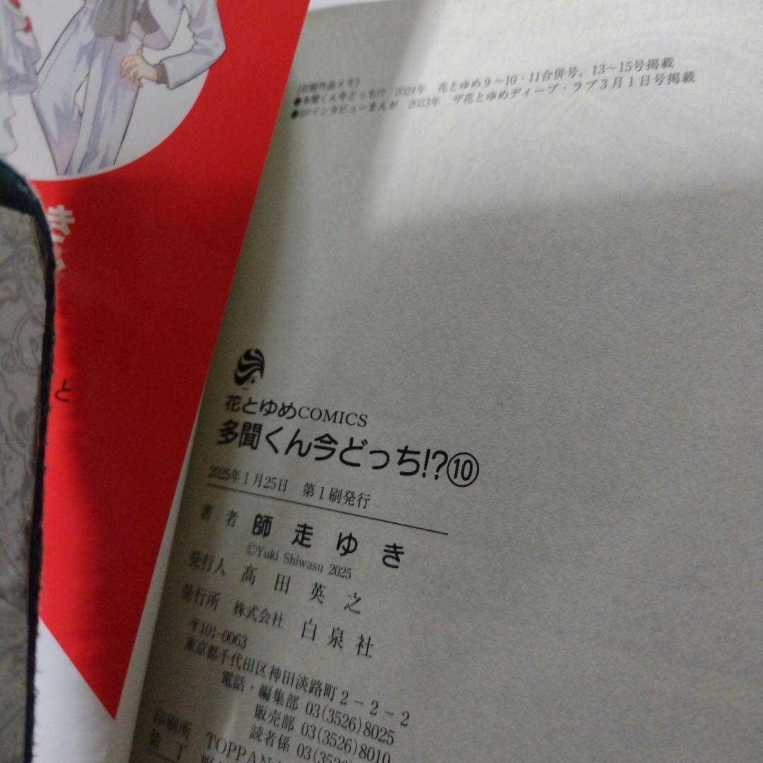 多聞くん今どっち！？全巻