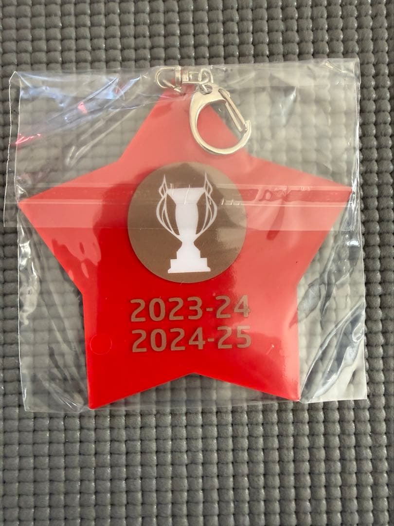 【非売品】東芝ブレイブルーパス トート/ボトル/キーホルダー3点セット