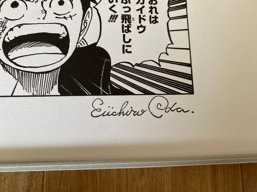 ONE PIECE / 負ける気がしねぇ　#20/20