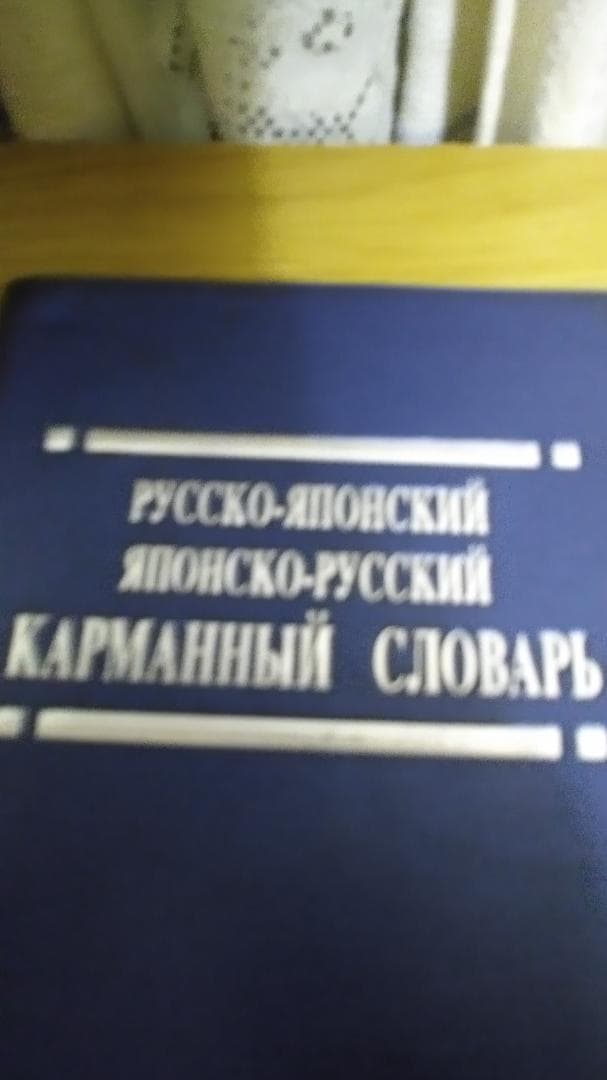 期間限定お値下げ！早い者勝ち！　ロシア語の本