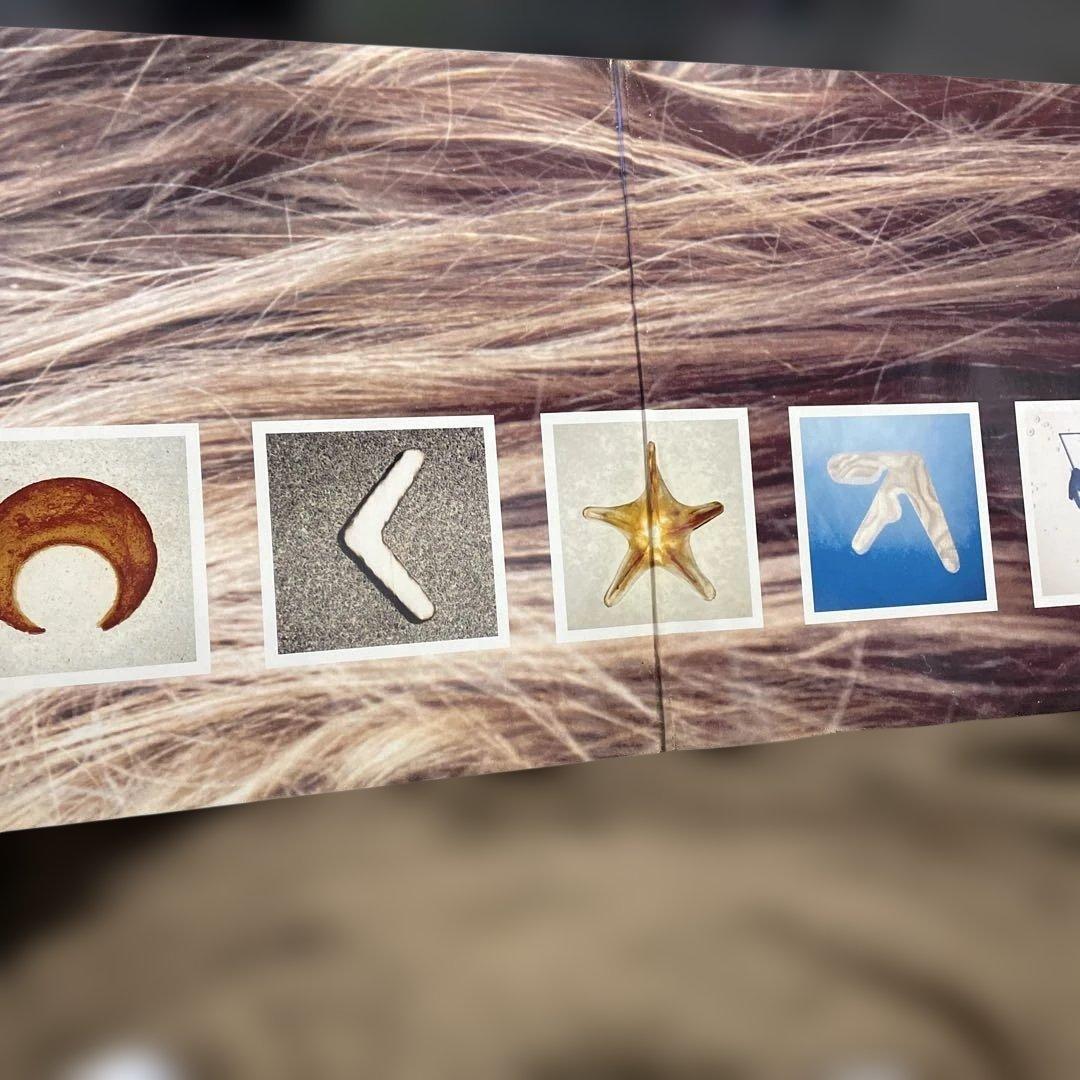 The Aphex Twin Classics レコード　２枚組