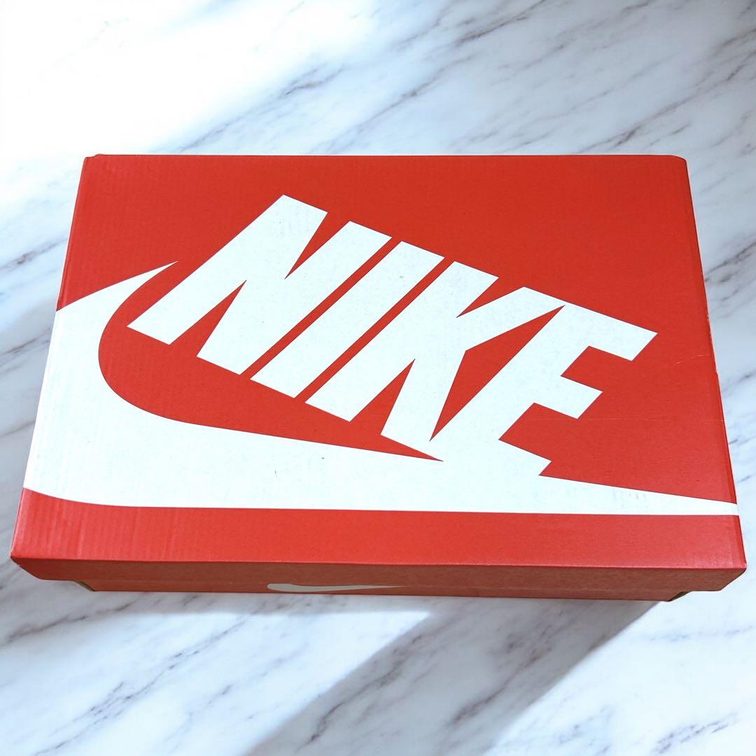 NIKE ダンクハイ セントジョーンズ大学 DD1399-106 27.5cm